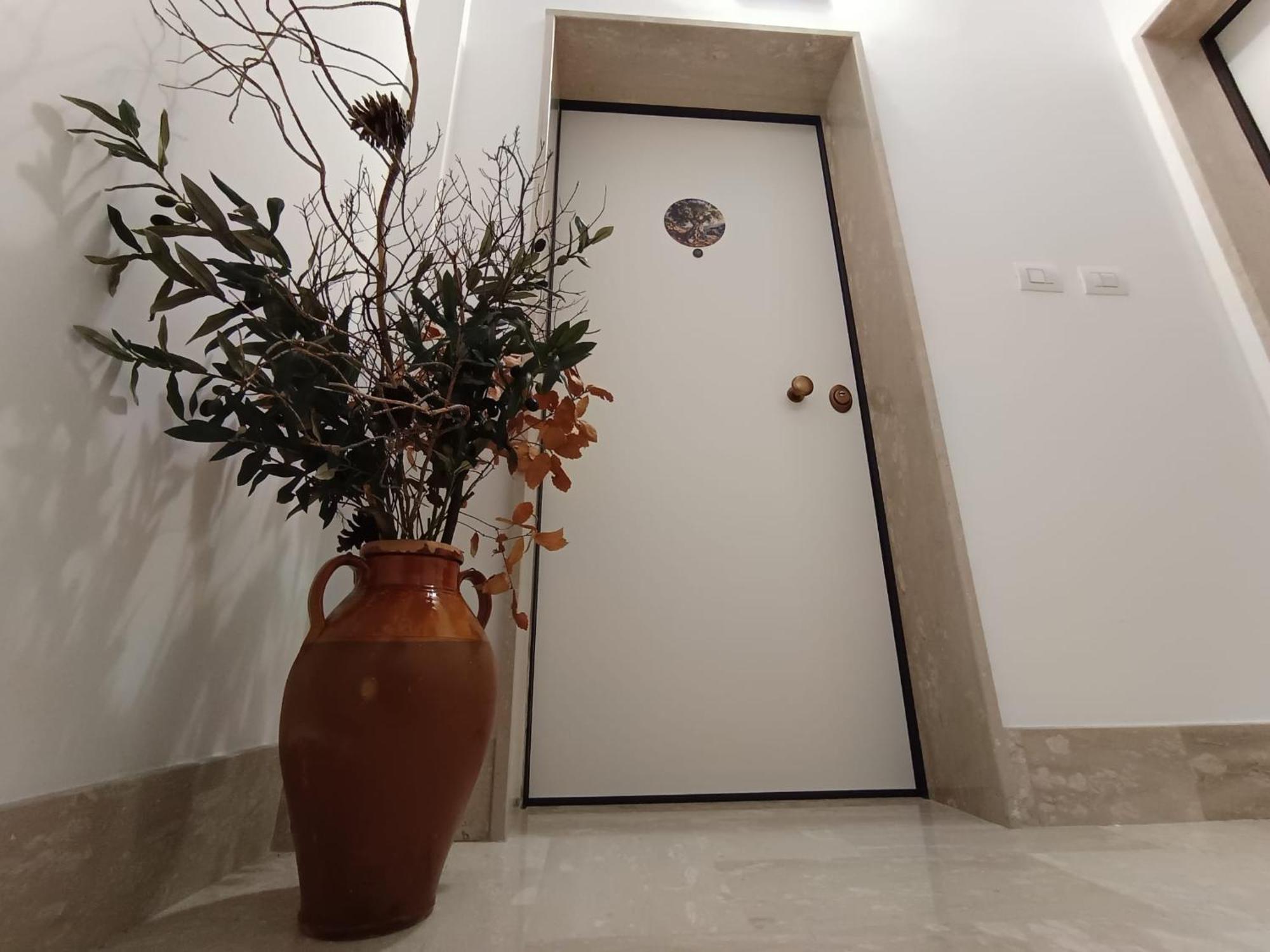 דירות מסאפרה L'Ulivo מראה חיצוני תמונה